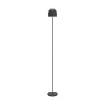 Eglo Floor Lamp Mannera-L Aluminium Black 4W 440lm - 824-830-840 CCT | IP54 - 3-Step Dimmable